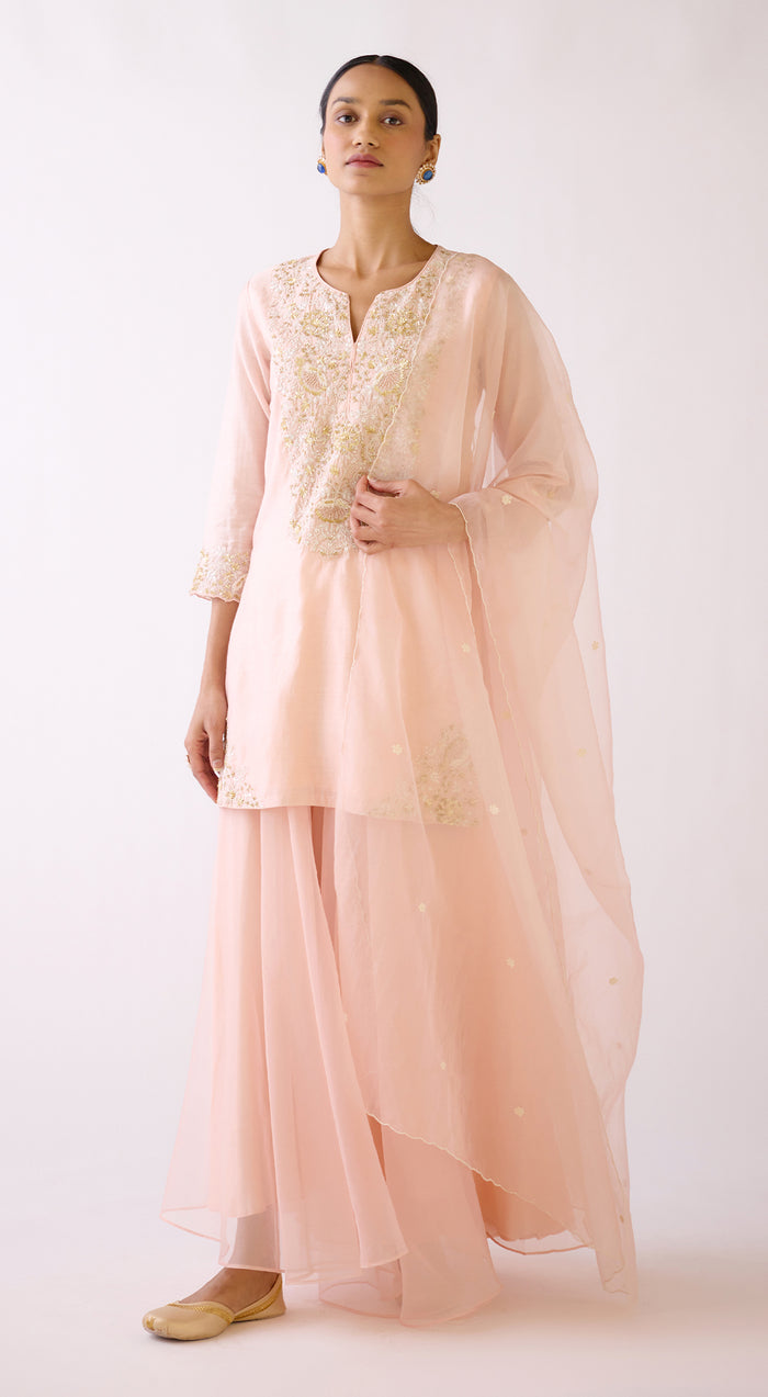 Baby Pink Embroidered Sharara Set