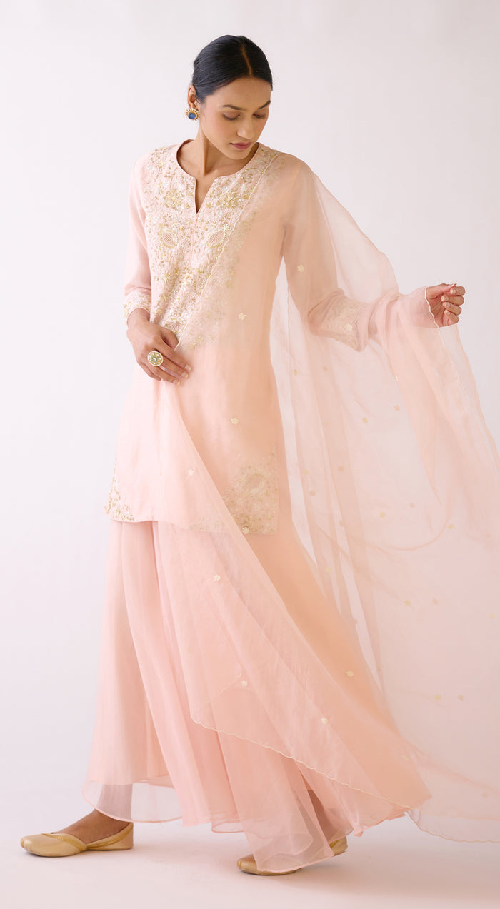 Baby Pink Embroidered Sharara Set