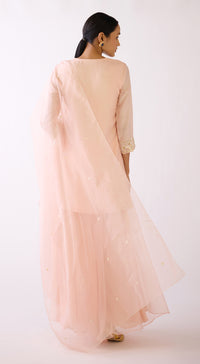 Baby Pink Embroidered Sharara Set