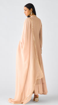 Blush Pink Chiffon Embroidered Anarkali Set