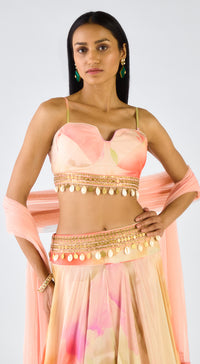 Multi Chiffon Embroidered Abstract Lehenga Set