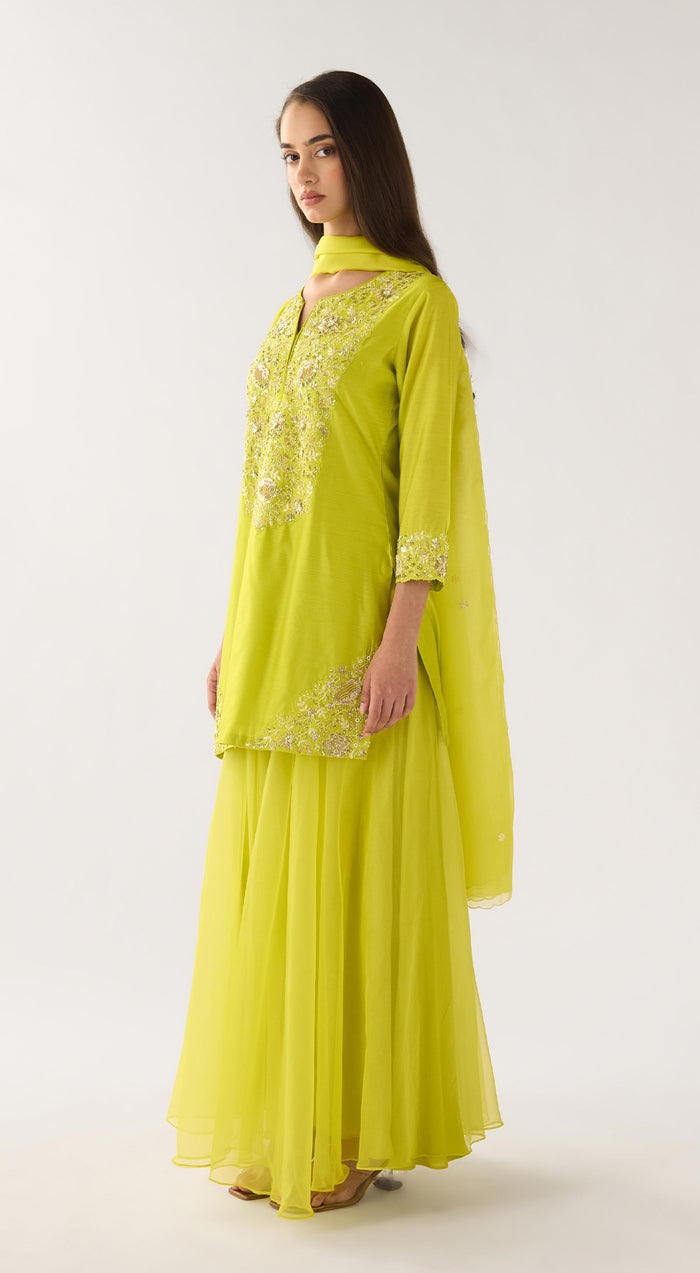 Lime Chanderi Embroidered Sharara Set