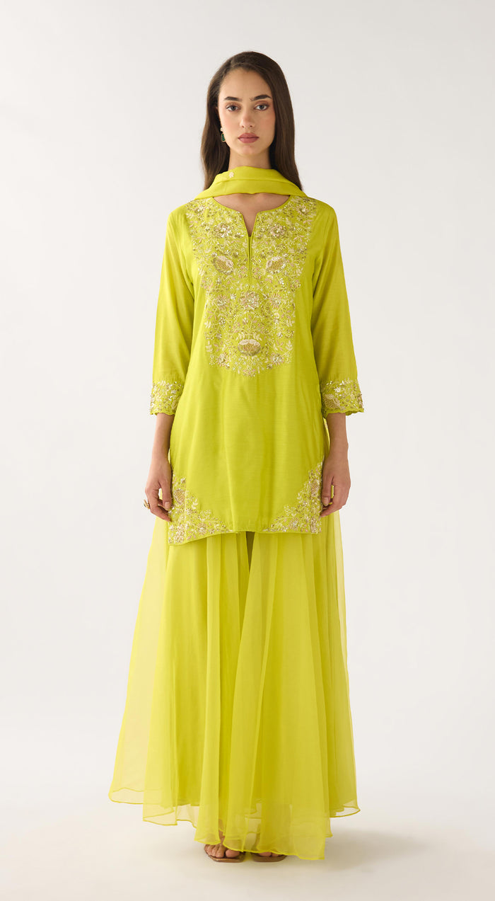 Lime Chanderi Embroidered Sharara Set