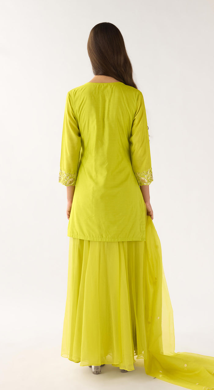 Lime Chanderi Embroidered Sharara Set