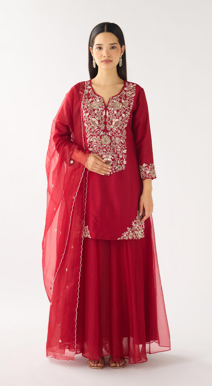 Red Chanderi Embroidered Sharara Set