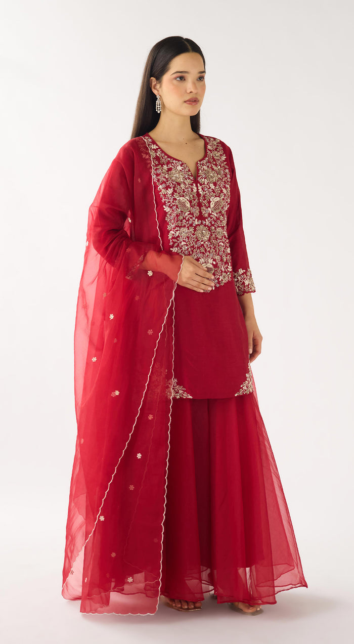Red Chanderi Embroidered Sharara Set