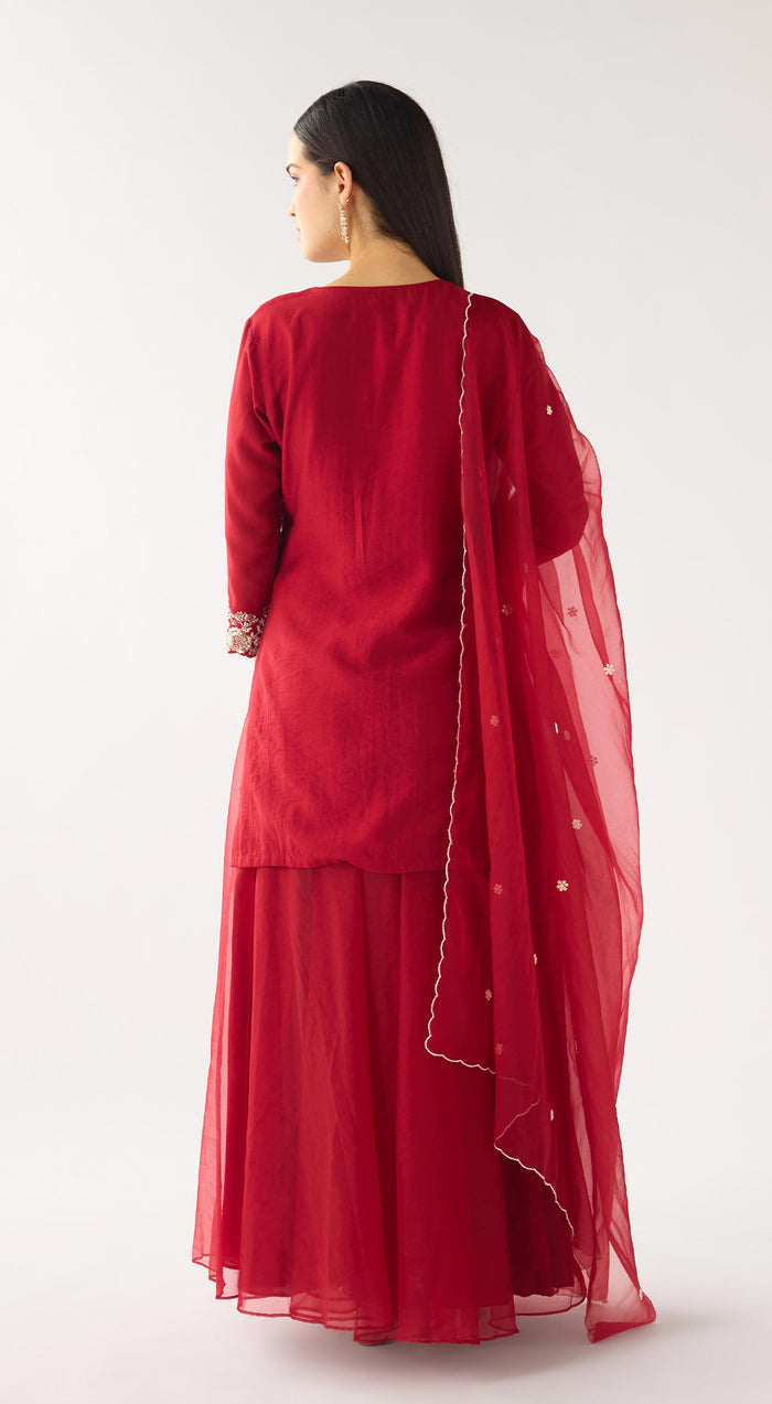 Red Chanderi Embroidered Sharara Set