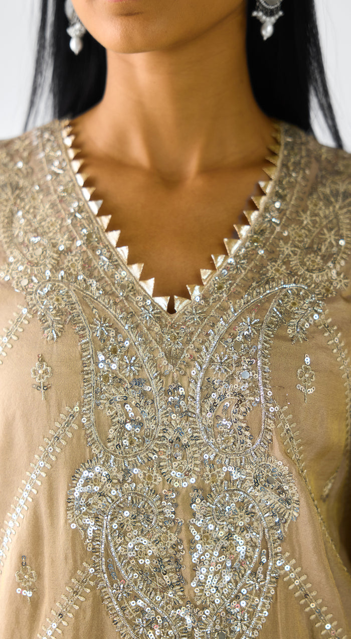 Grey Tissue Embroidered Suit Set