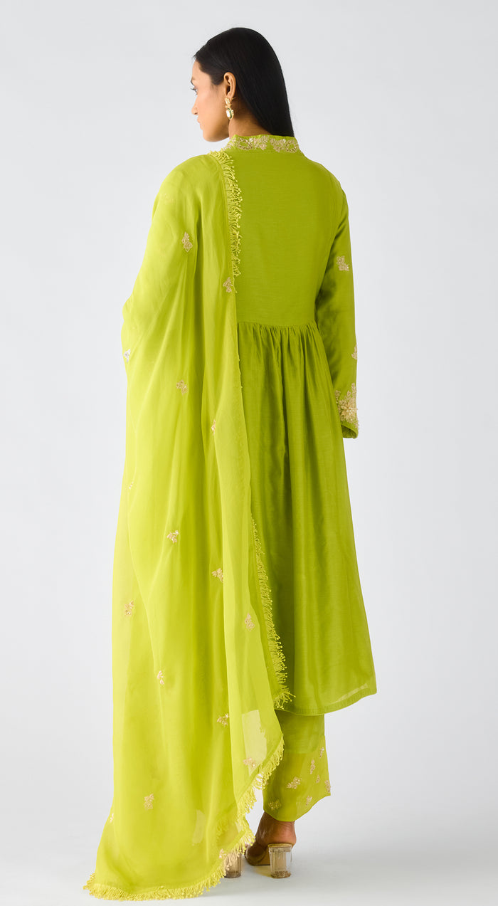 Blush Pink Chiffon Embroidered Suit Set