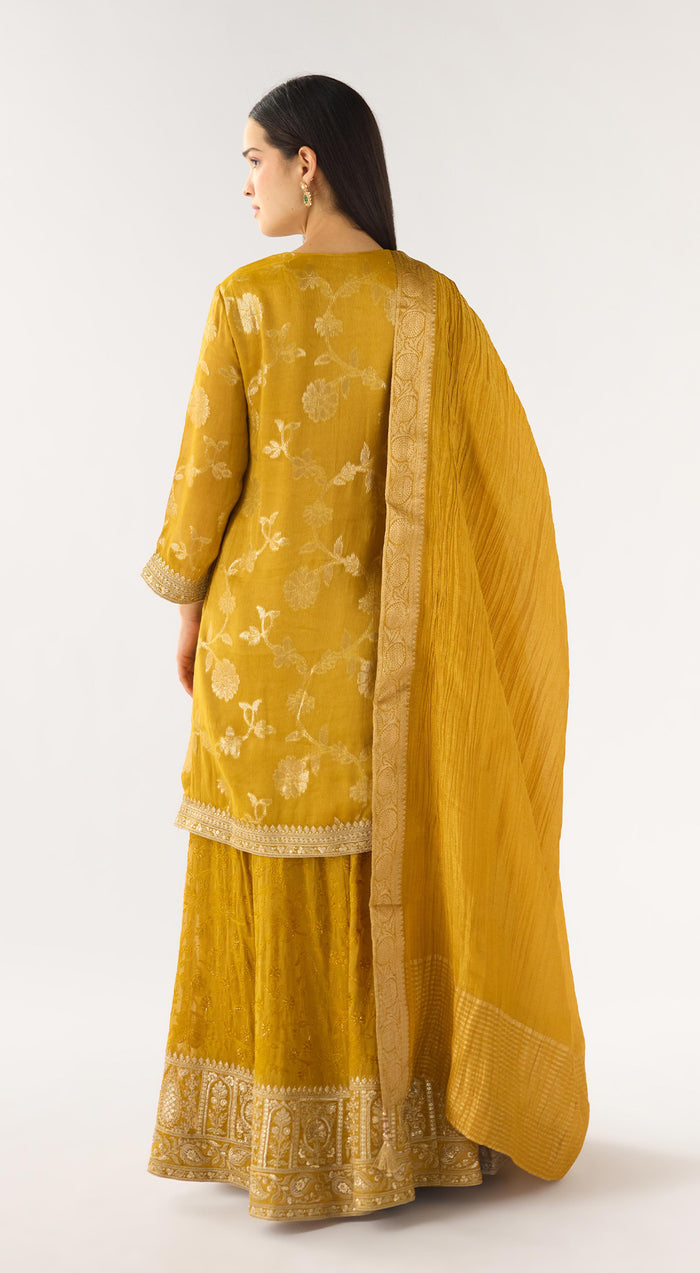 Mustard Banarasi Embroidered Sharara Set
