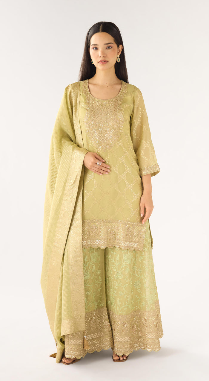 Pista Banarasi Embroidered Suit Set