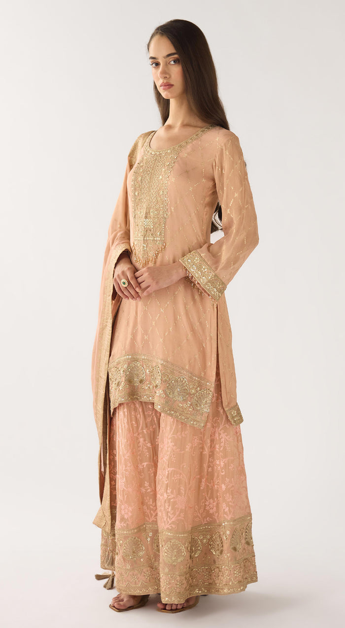 Pink Banarasi Embroidered Sharara Set