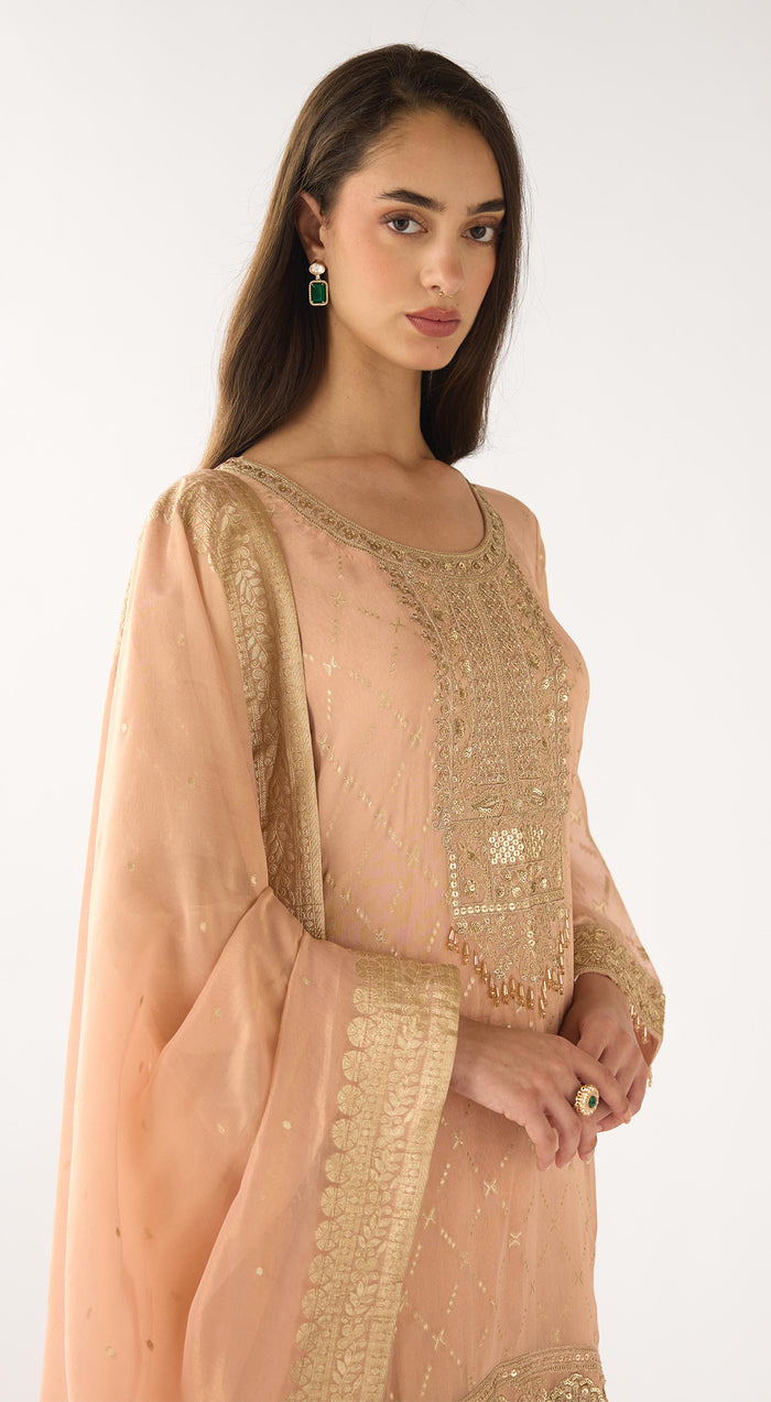 Pink Banarasi Embroidered Sharara Set