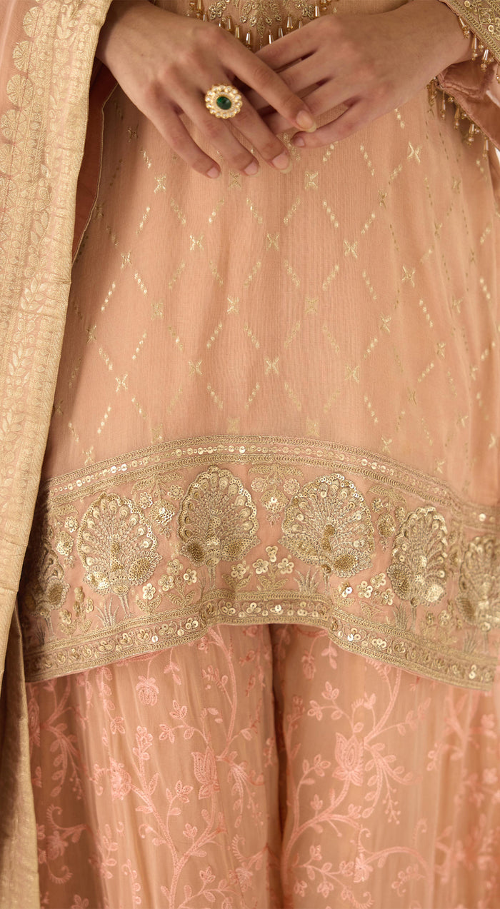 Pink Banarasi Embroidered Sharara Set