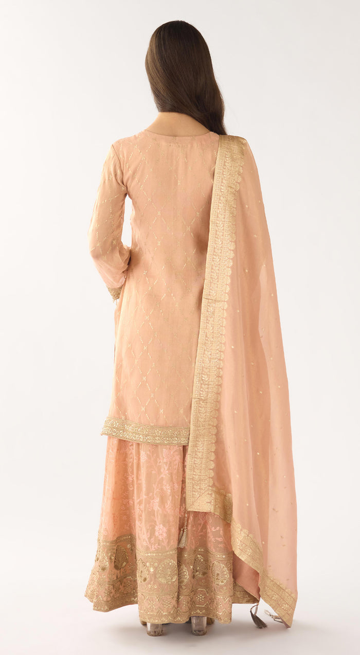 Pink Banarasi Embroidered Sharara Set