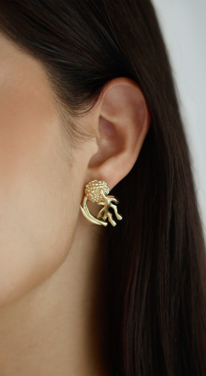 Reef Earrings