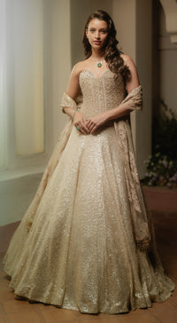 Tripti Dimri in The Champagne & Sparkle Corset Lehenga