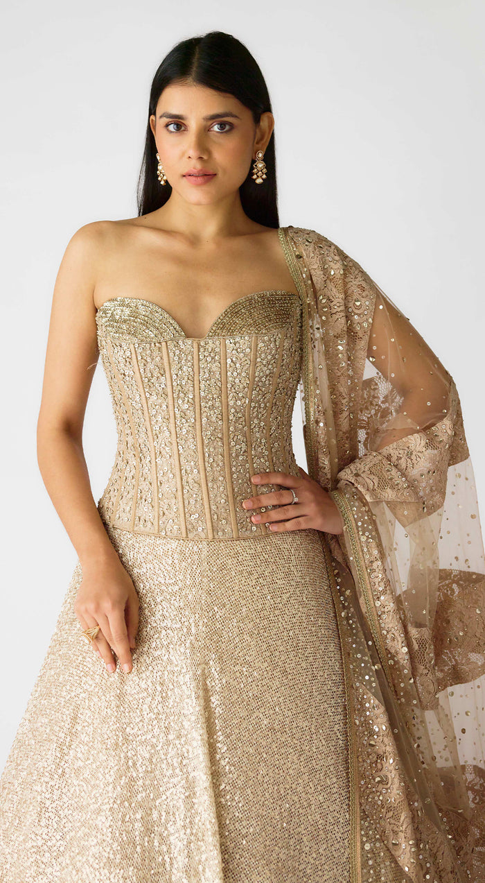Tripti Dimri in The Champagne & Sparkle Corset Lehenga