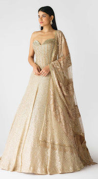 Tripti Dimri in The Champagne & Sparkle Corset Lehenga