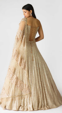 Tripti Dimri in The Champagne & Sparkle Corset Lehenga