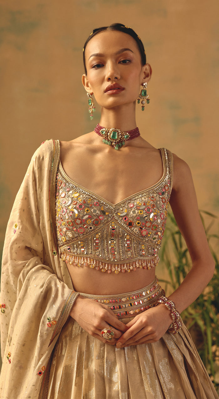 The Blooming Clouds Lehenga