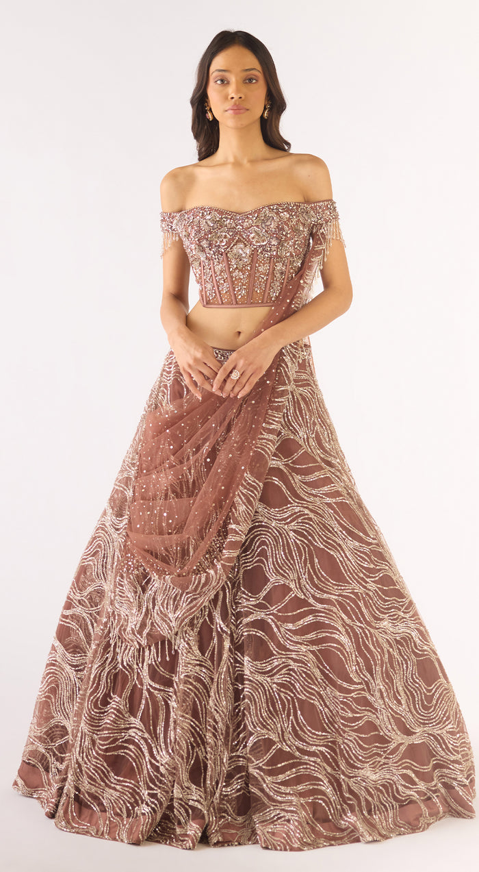 Brown Soft Net Embroidered Lehenga Set