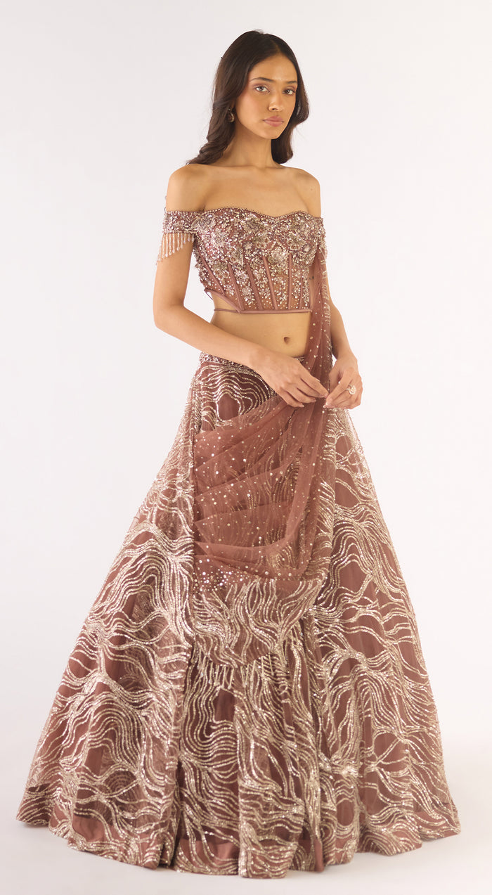 Brown Soft Net Embroidered Lehenga Set