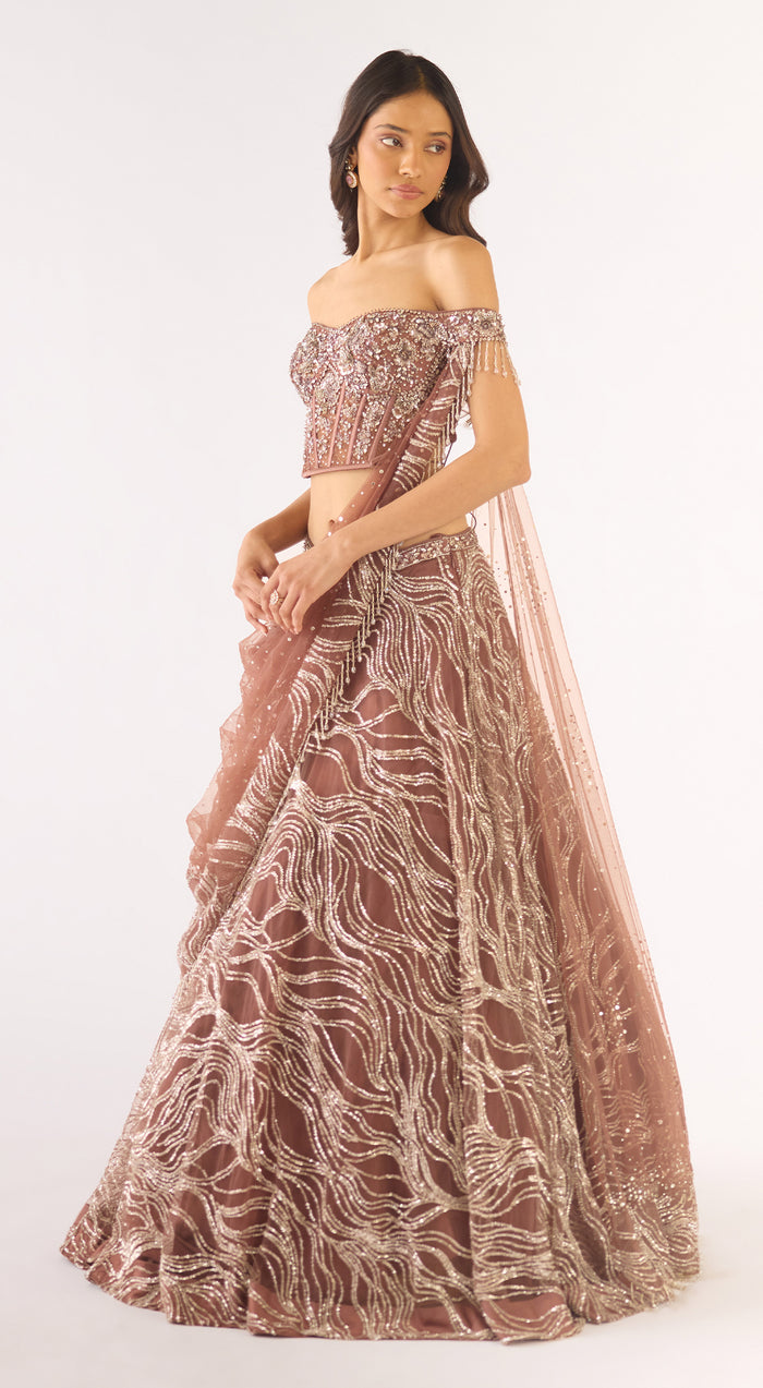 Brown Soft Net Embroidered Lehenga Set