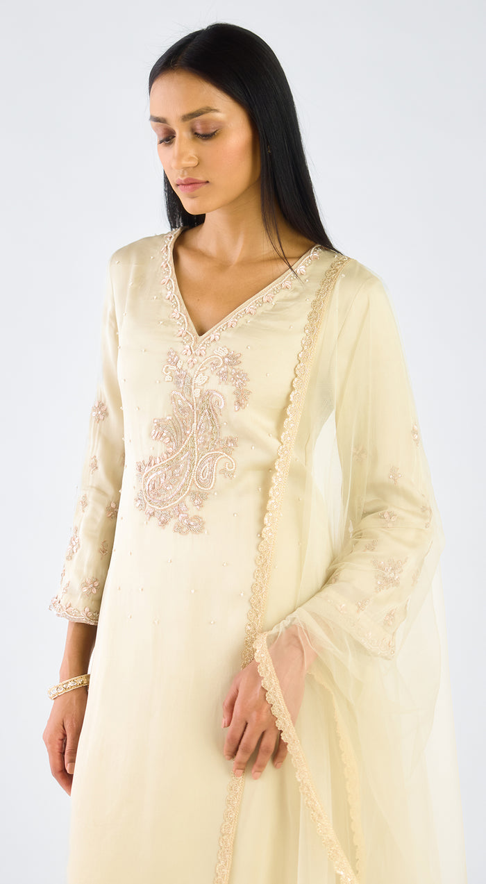 Grey Organza Embroidered Suit Set