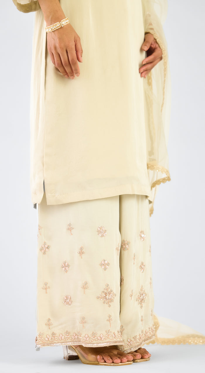 Grey Organza Embroidered Suit Set