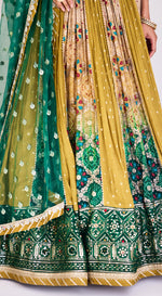 Multi Colored Embroidered Lehenga Set