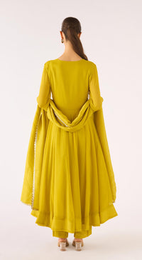 Lime Georgette Embroidered Anarkali Set