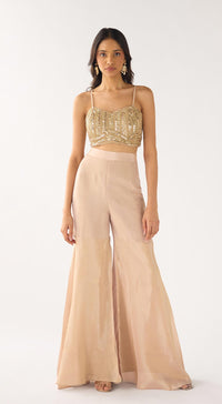 Baby Pink Banarasi Embroidered Cape Set