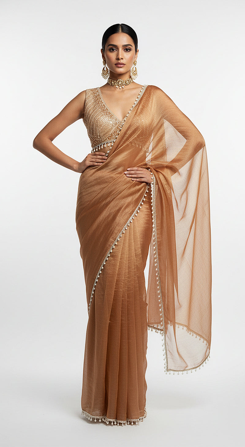 Honey Symphony Embroidered Saree Set