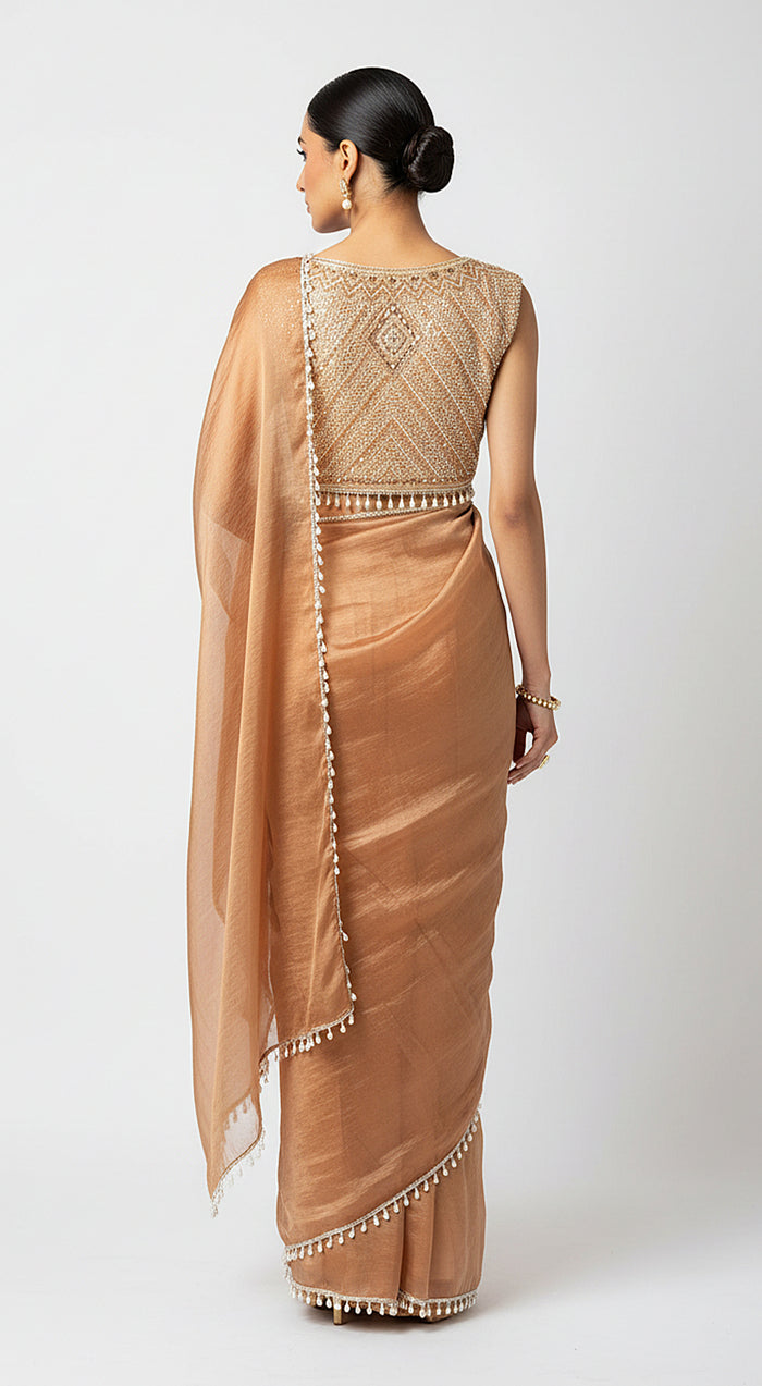 Honey Symphony Embroidered Saree Set