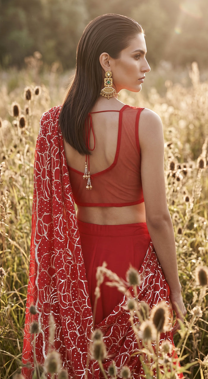 Red Organza Embroidered Draped Saree