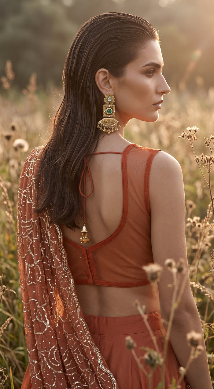 Rust Organza Embroidered Draped Saree