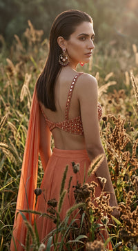 Rust Chinon Embroidered Draped Sharara