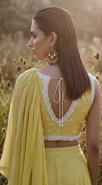 Pista Chinon Embroidered Draped Saree