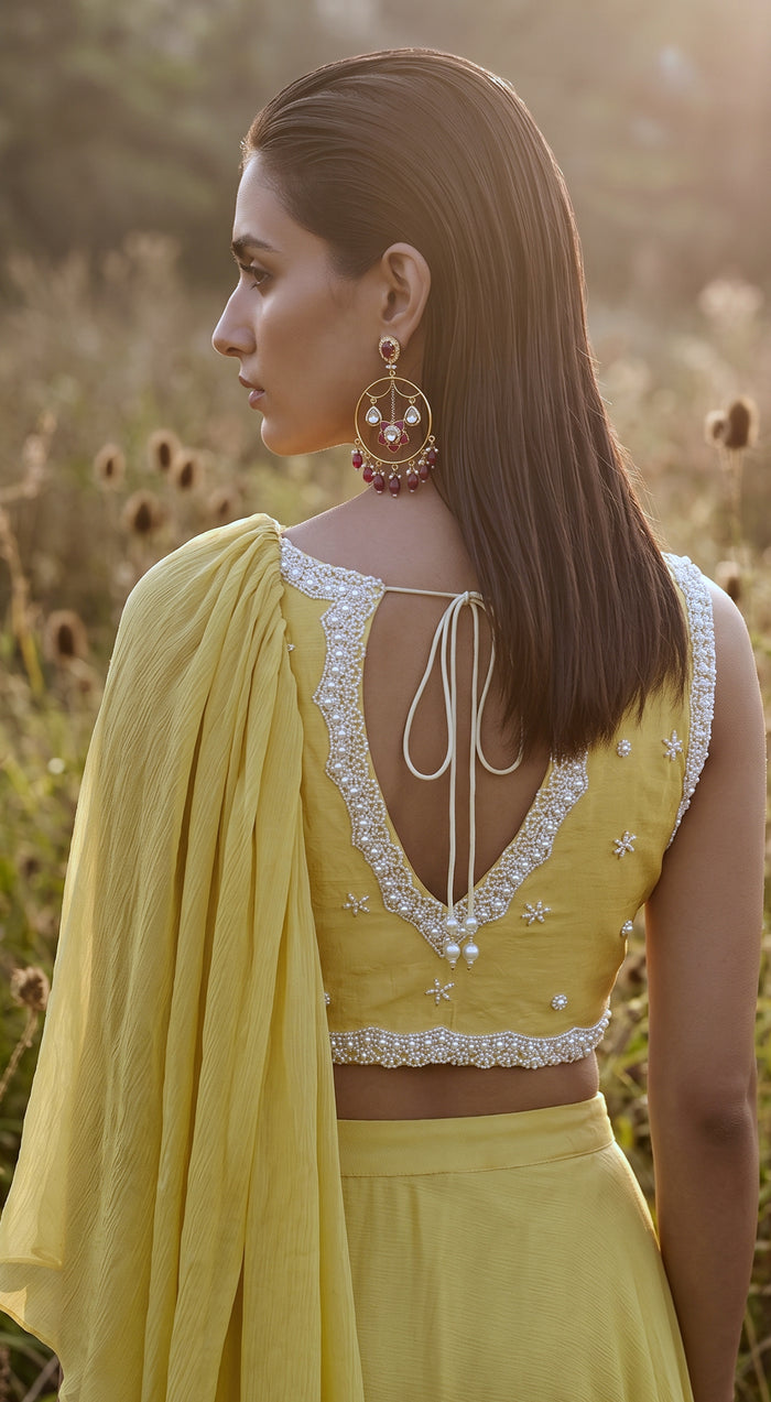 Pista Chinon Embroidered Draped Saree