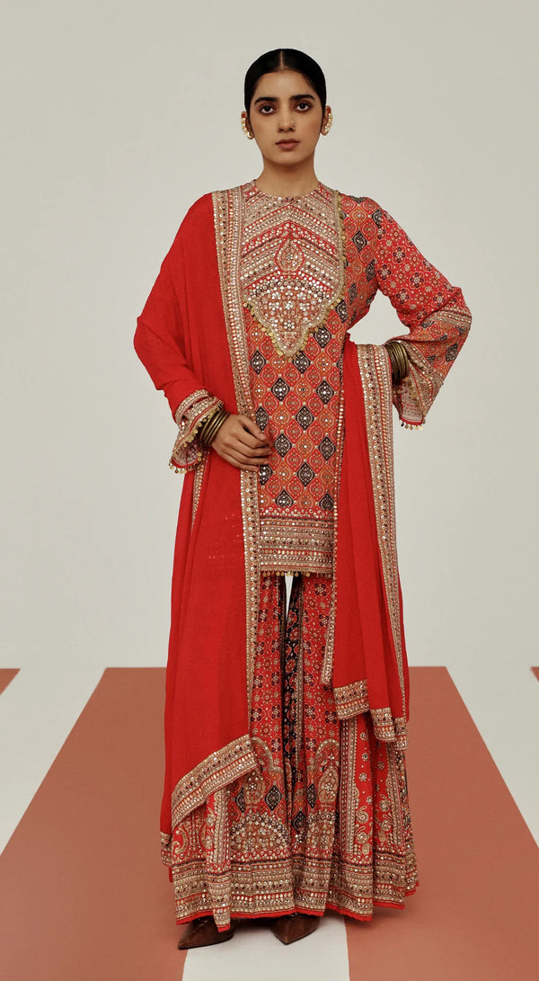 BS101-341-RED-1