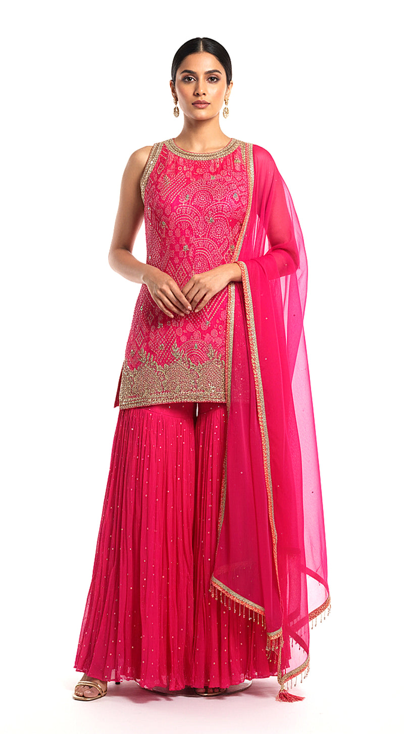 Rose Radiance Embroidered Sharara Set