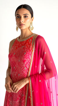 Rose Radiance Embroidered Sharara Set