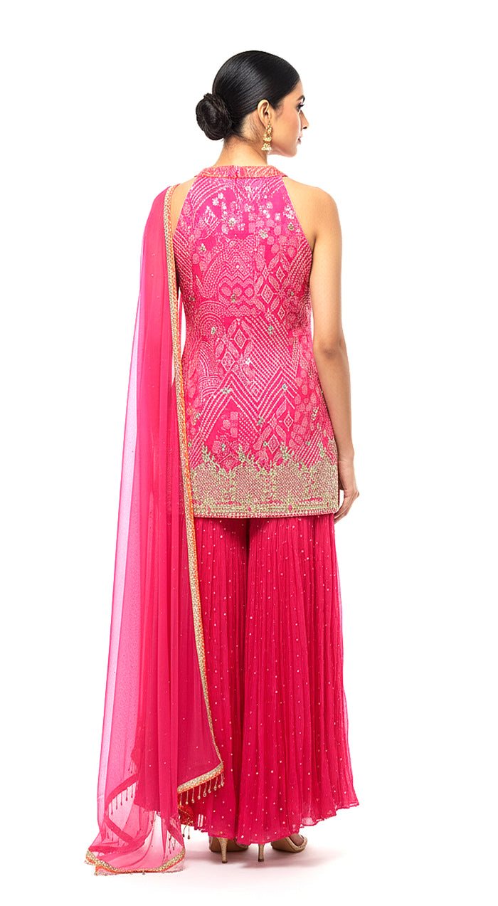 Rose Radiance Embroidered Sharara Set
