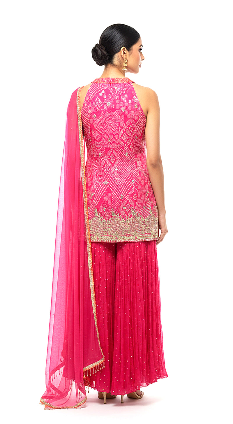 Rose Radiance Embroidered Sharara Set