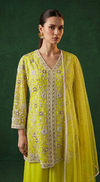 BSO-1073-LIME image 2