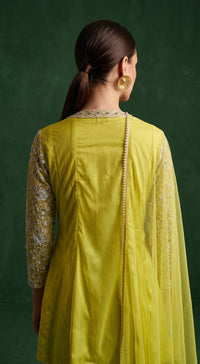 BSO-1073-LIME image 3
