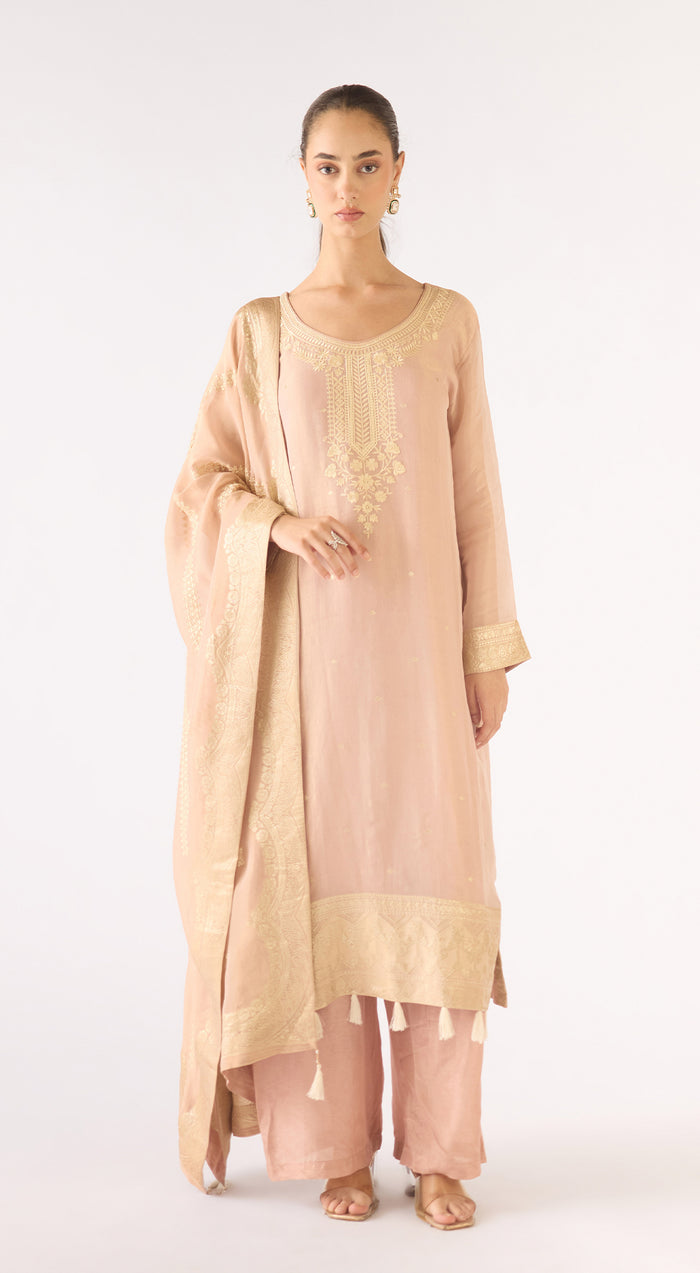 Pink Banarasi Tissue Suit Set