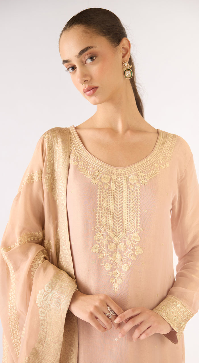 Pink Banarasi Tissue Suit Set