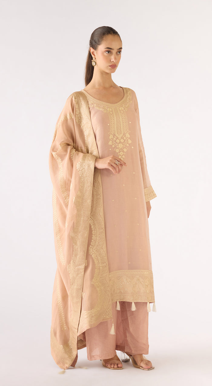 Pink Banarasi Tissue Suit Set